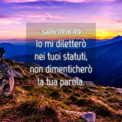 Picture 04 - Salmi 119:16 RIV - Io mi diletterò nei tuoi statuti, non - Bible Verse Picture
