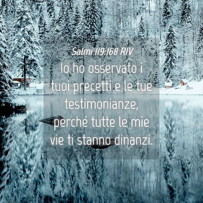Picture 04 - Salmi 119:168 RIV - Io ho osservato i tuoi precetti e le tue - Bible Verse Picture