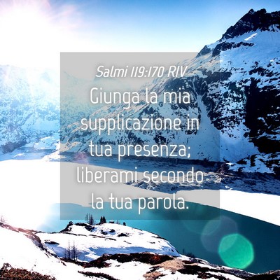 Picture 04 - Salmi 119:170 RIV - Giunga la mia supplicazione in tua presenza; - Bible Verse Picture
