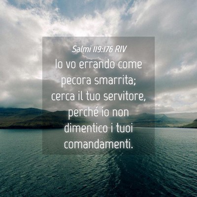 Picture 04 - Salmi 119:176 RIV - Io vo errando come pecora smarrita; cerca il tuo - Bible Verse Picture