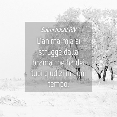 Picture 04 - Salmi 119:20 RIV - L’anima mia si strugge dalla brama che ha dei - Bible Verse Picture