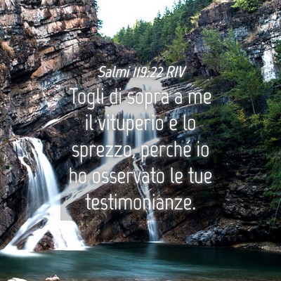Picture 04 - Salmi 119:22 RIV - Togli di sopra a me il vituperio e lo sprezzo, - Bible Verse Picture