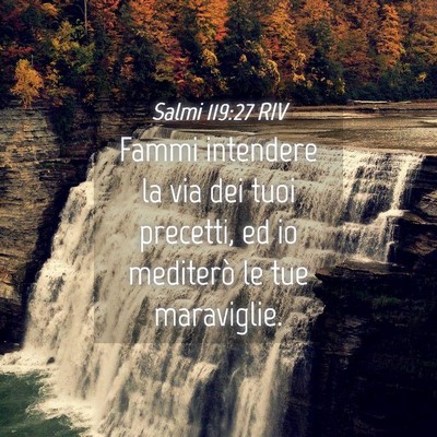 Picture 04 - Salmi 119:27 RIV - Fammi intendere la via dei tuoi precetti, ed io - Bible Verse Picture