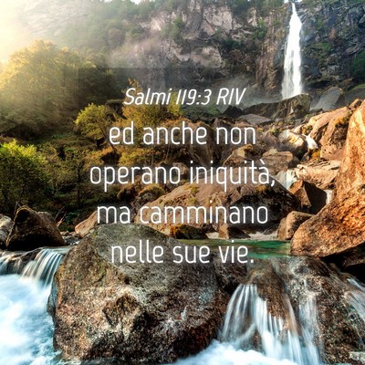 Picture 04 - Salmi 119:3 RIV - ed anche non operano iniquità, ma camminano - Bible Verse Picture