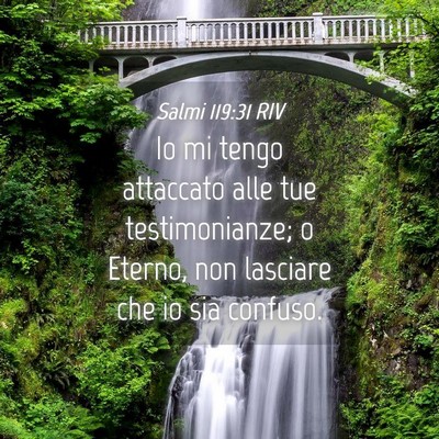 Picture 04 - Salmi 119:31 RIV - Io mi tengo attaccato alle tue testimonianze; o - Bible Verse Picture