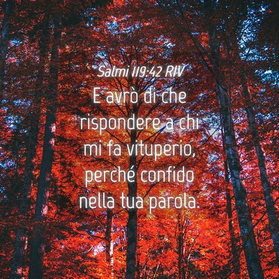 Picture 04 - Salmi 119:42 RIV - E avrò di che rispondere a chi mi fa vituperio, - Bible Verse Picture