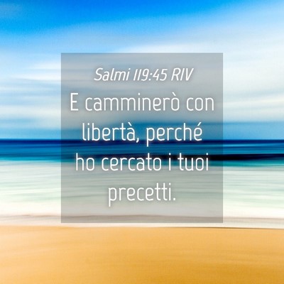 Picture 04 - Salmi 119:45 RIV - E camminerò con libertà, perché ho cercato i - Bible Verse Picture