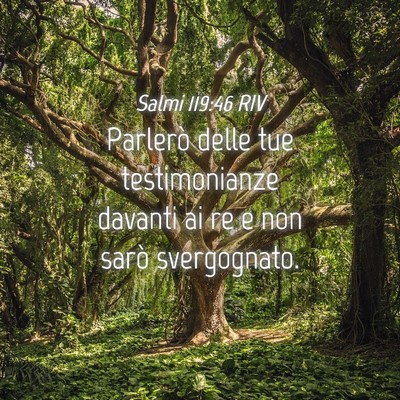 Picture 04 - Salmi 119:46 RIV - Parlerò delle tue testimonianze davanti ai re e - Bible Verse Picture