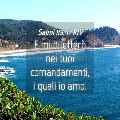 Picture 04 - Salmi 119:47 RIV - E mi diletterò nei tuoi comandamenti, i quali io - Bible Verse Picture