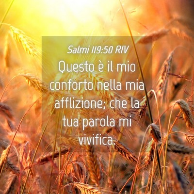 Picture 04 - Salmi 119:50 RIV - Questo è il mio conforto nella mia afflizione; - Bible Verse Picture