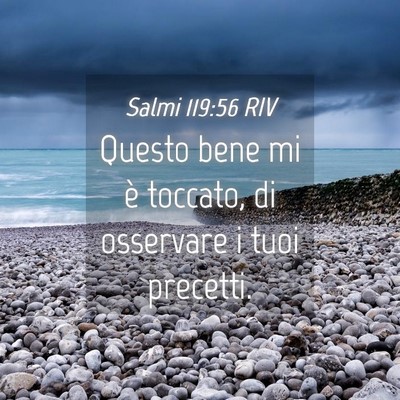 Picture 04 - Salmi 119:56 RIV - Questo bene mi è toccato, di osservare i tuoi - Bible Verse Picture