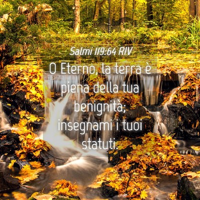 Picture 04 - Salmi 119:64 RIV - O Eterno, la terra è piena della tua benignità; - Bible Verse Picture