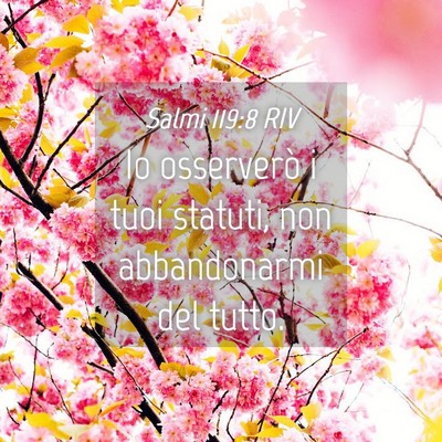 Picture 04 - Salmi 119:8 RIV - Io osserverò i tuoi statuti, non abbandonarmi - Bible Verse Picture
