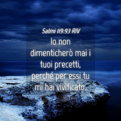 Picture 04 - Salmi 119:93 RIV - Io non dimenticherò mai i tuoi precetti, perché - Bible Verse Picture