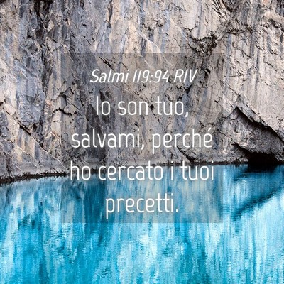 Picture 04 - Salmi 119:94 RIV - Io son tuo, salvami, perché ho cercato i tuoi - Bible Verse Picture