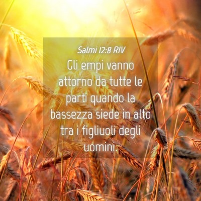 Picture 04 - Salmi 12:8 RIV - Gli empi vanno attorno da tutte le parti quando - Bible Verse Picture