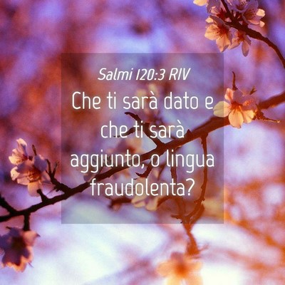 Picture 04 - Salmi 120:3 RIV - Che ti sarà dato e che ti sarà aggiunto, o - Bible Verse Picture