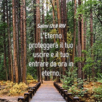Picture 04 - Salmi 121:8 RIV - L’Eterno proteggerà il tuo uscire e il tuo - Bible Verse Picture
