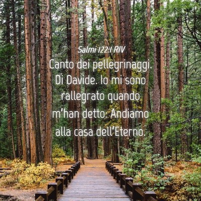 Picture 04 - Salmi 122:1 RIV - Canto dei pellegrinaggi. Di Davide. Io mi sono - Bible Verse Picture