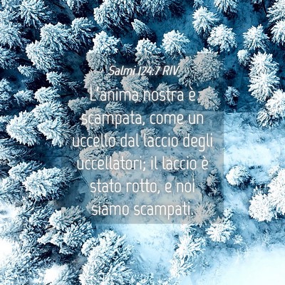 Picture 04 - Salmi 124:7 RIV - L’anima nostra è scampata, come un uccello dal - Bible Verse Picture
