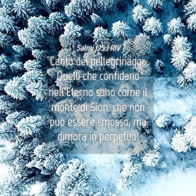 Picture 04 - Salmi 125:1 RIV - Canto dei pellegrinaggi. Quelli che confidano - Bible Verse Picture