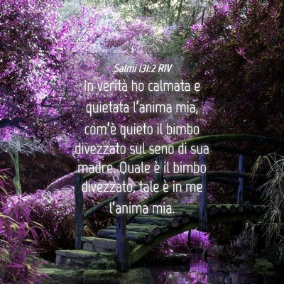 Picture 04 - Salmi 131:2 RIV - In verità ho calmata e quietata l’anima mia, - Bible Verse Picture
