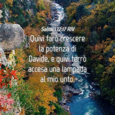 Picture 04 - Salmi 132:17 RIV - Quivi farò crescere la potenza di Davide, e - Bible Verse Picture