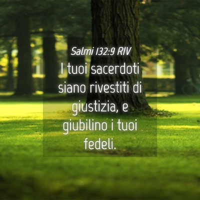 Picture 04 - Salmi 132:9 RIV - I tuoi sacerdoti siano rivestiti di giustizia, e - Bible Verse Picture