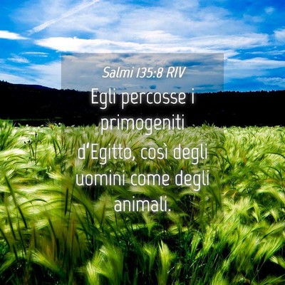 Picture 04 - Salmi 135:8 RIV - Egli percosse i primogeniti d’Egitto, così - Bible Verse Picture