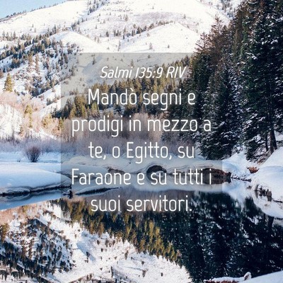 Picture 04 - Salmi 135:9 RIV - Mandò segni e prodigi in mezzo a te, o Egitto, - Bible Verse Picture