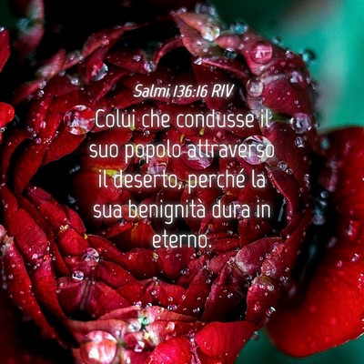 Picture 04 - Salmi 136:16 RIV - Colui che condusse il suo popolo attraverso il - Bible Verse Picture