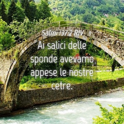 Picture 04 - Salmi 137:2 RIV - Ai salici delle sponde avevamo appese le nostre - Bible Verse Picture