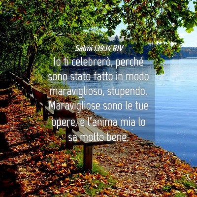 Picture 04 - Salmi 139:14 RIV - Io ti celebrerò, perché sono stato fatto in - Bible Verse Picture