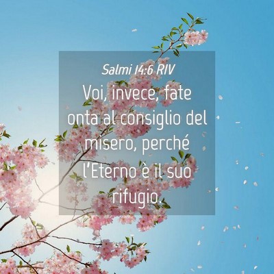 Picture 04 - Salmi 14:6 RIV - Voi, invece, fate onta al consiglio del misero, - Bible Verse Picture