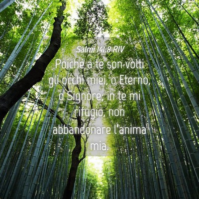 Picture 04 - Salmi 141:8 RIV - Poiché a te son vòlti gli occhi miei, o Eterno, - Bible Verse Picture