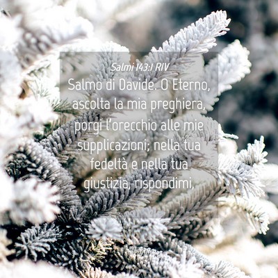 Picture 04 - Salmi 143:1 RIV - Salmo di Davide. O Eterno, ascolta la mia - Bible Verse Picture