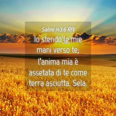 Picture 04 - Salmi 143:6 RIV - Io stendo le mie mani verso te; l’anima mia è - Bible Verse Picture