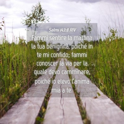 Picture 04 - Salmi 143:8 RIV - Fammi sentire la mattina la tua benignità, - Bible Verse Picture
