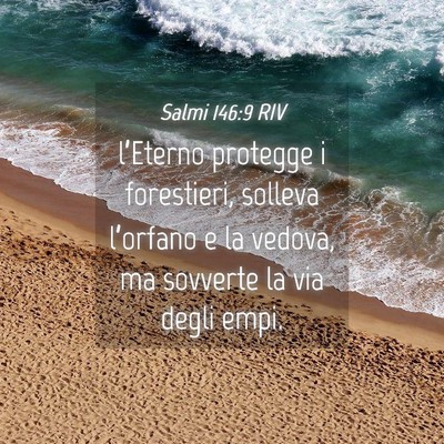 Picture 04 - Salmi 146:9 RIV - l’Eterno protegge i forestieri, solleva - Bible Verse Picture
