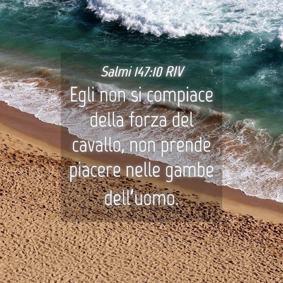 Picture 04 - Salmi 147:10 RIV - Egli non si compiace della forza del cavallo, non - Bible Verse Picture