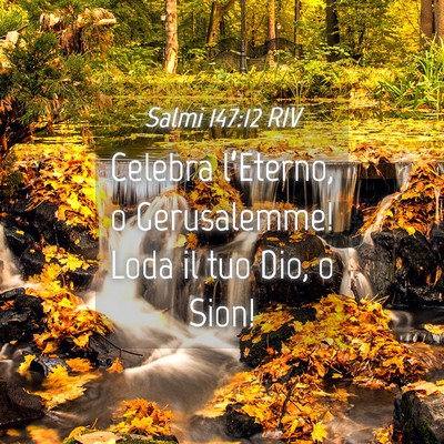 Picture 04 - Salmi 147:12 RIV - Celebra l’Eterno, o Gerusalemme! Loda il tuo - Bible Verse Picture