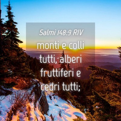 Picture 04 - Salmi 148:9 RIV - monti e colli tutti, alberi fruttiferi e cedri - Bible Verse Picture