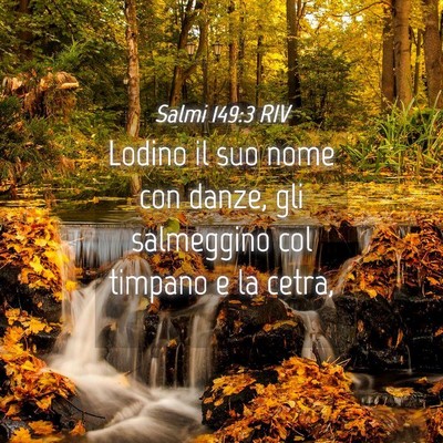 Picture 04 - Salmi 149:3 RIV - Lodino il suo nome con danze, gli salmeggino col - Bible Verse Picture