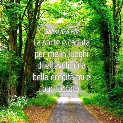 Picture 04 - Salmi 16:6 RIV - La sorte è caduta per me in luoghi dilettevoli; - Bible Verse Picture