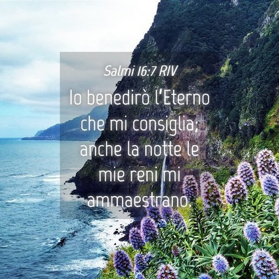 Picture 04 - Salmi 16:7 RIV - Io benedirò l’Eterno che mi consiglia; anche - Bible Verse Picture