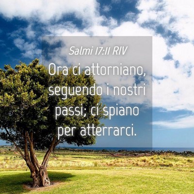 Picture 04 - Salmi 17:11 RIV - Ora ci attorniano, seguendo i nostri passi; ci - Bible Verse Picture