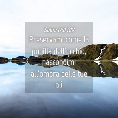 Picture 04 - Salmi 17:8 RIV - Preservami come la pupilla dell’occhio, - Bible Verse Picture