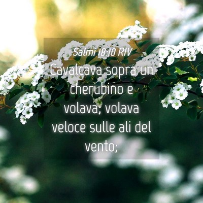 Picture 04 - Salmi 18:10 RIV - Cavalcava sopra un cherubino e volava; volava - Bible Verse Picture