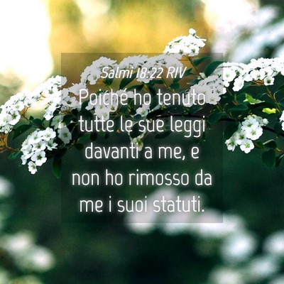 Picture 04 - Salmi 18:22 RIV - Poiché ho tenuto tutte le sue leggi davanti a - Bible Verse Picture