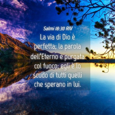 Picture 04 - Salmi 18:30 RIV - La via di Dio è perfetta; la parola - Bible Verse Picture